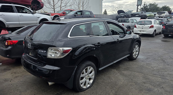 Cars We Buy